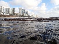 В Бат-Яме закрыты для купания все пляжи после появления акулы у берегов