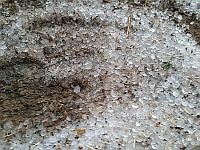 На севере и в центре Израиля выпал крупный град