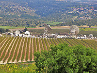 Разрешено к публикации: ракетой 