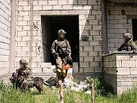 Более 900 объектов террористической инфраструктуры уничтожены в Бинт-Джбейле. Фото, видео