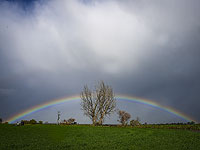 В Израиле установилась 